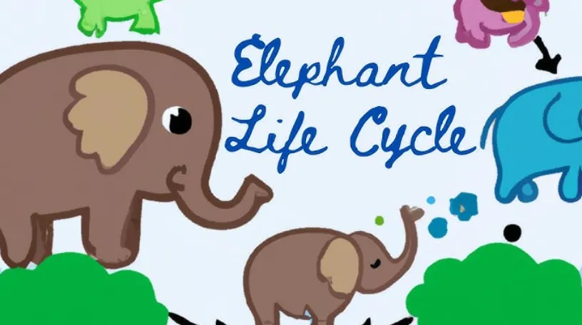 Elephant Life Cycle