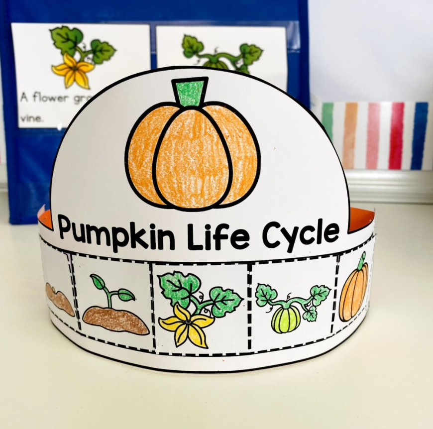 Life Cycle of a Pumpkin