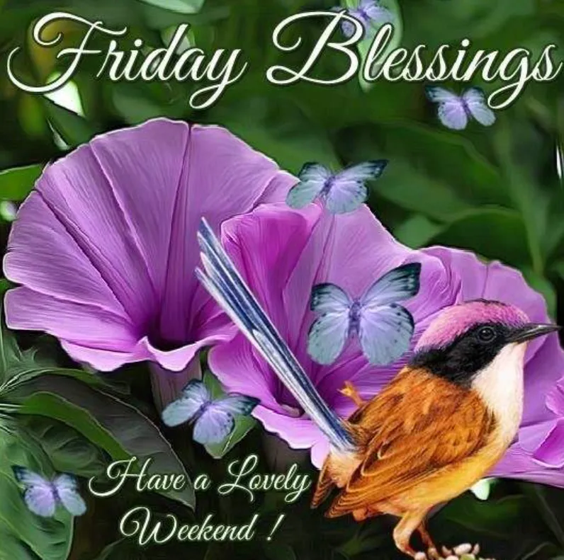 77+ Friday Blessings, Prayers & Positive Wishes to Make Your Day Beautiful