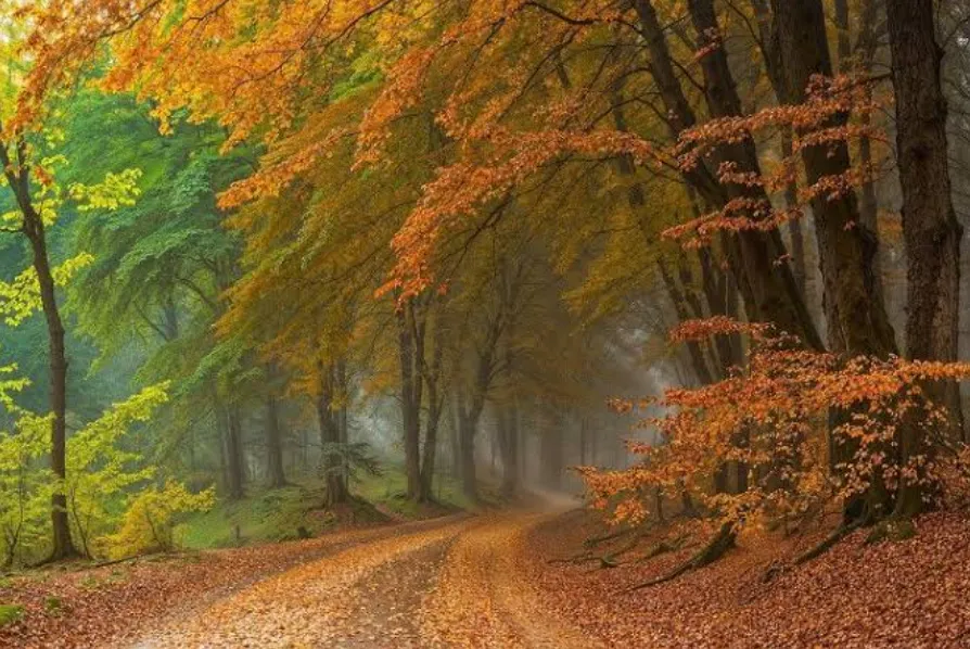 91+ Wednesday Blessings, Prayers & Positive Wishes to Brighten Your Midweek