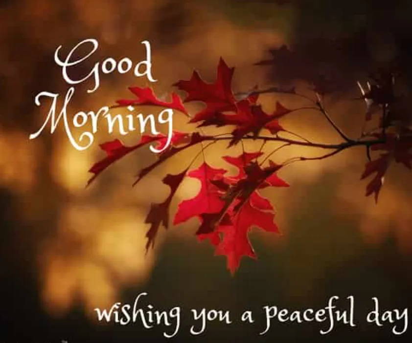99+ Sunday Blessings to Fill Your Morning With Peace, Joy, and Hope